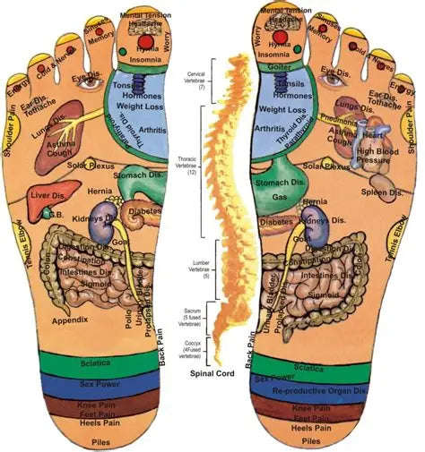 ACUPRESSURE Best Spare Store