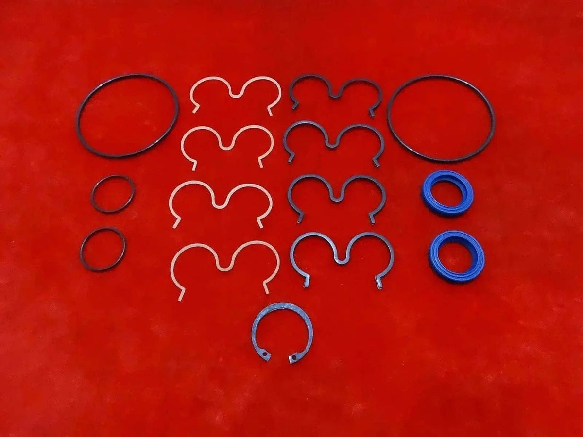Hydraulic pump repair seal kit with O-rings, blue seals, and gasket set