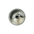 7-inch sealed headlamp with clear lens and chrome bezel, front grille and bulb center