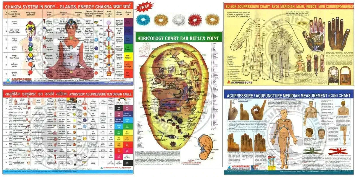 New Acupressure Charts for Holistic Healing and Wellness Best Spare Store