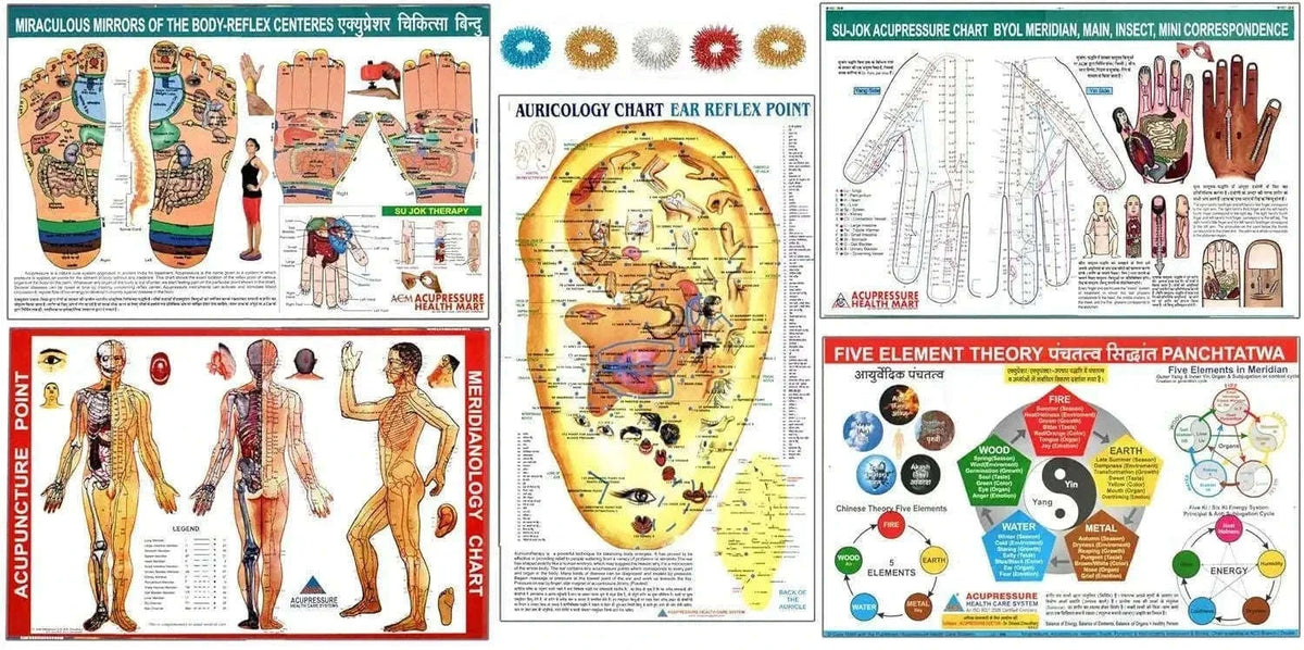 New Acupressure Charts Set of 5 with Free Rings Best Spare Store