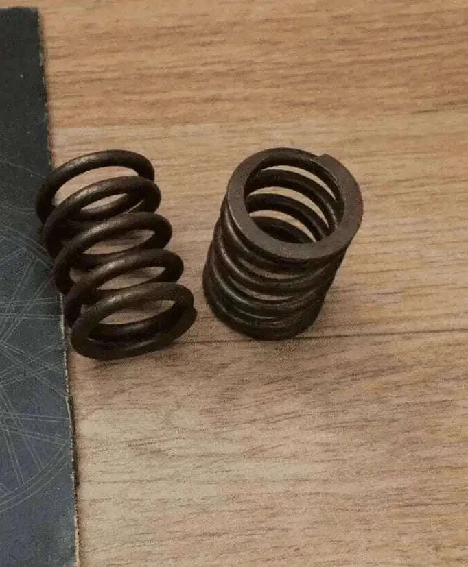 New Valve Springs Set Genuine Part 507064 Fits Royal Enfield Bullet Best Spare Store
