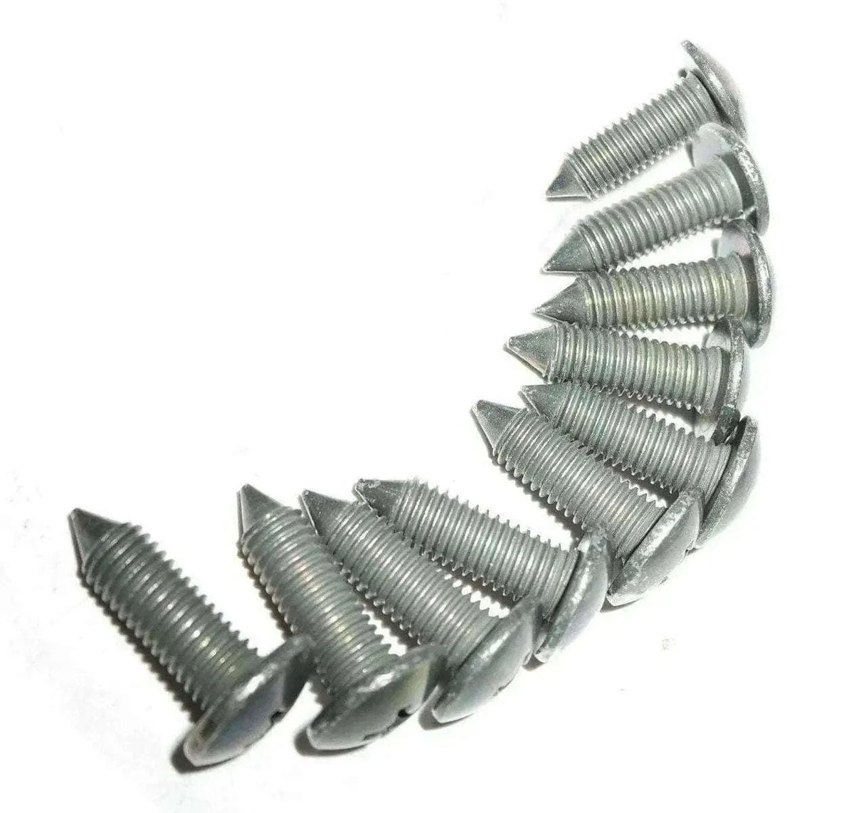 Suzuki Samurai Tailgate Hinges Screw 10pc Set - bestsparestore
